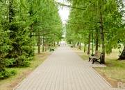 Парк на Королева