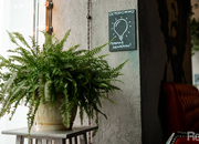 GRISHA gastrobar