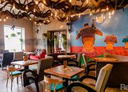 Розы-Морозы